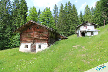 Rustici da ristrutturare con terreno a Transacqua