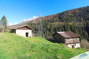 Rustici da ristrutturare con terreno