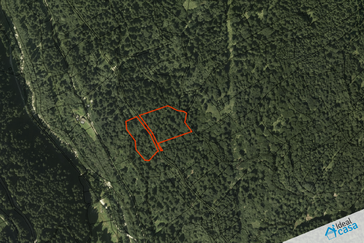 Terreno boschivo in vendita a Siror