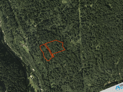 Miniatura di Terreno boschivo in vendita a Siror